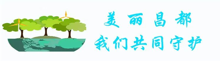 大阳城游戏官方网站