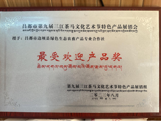 大阳城游戏官方网站