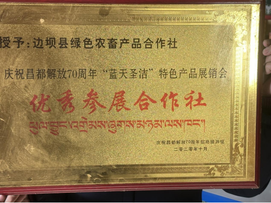 大阳城游戏官方网站